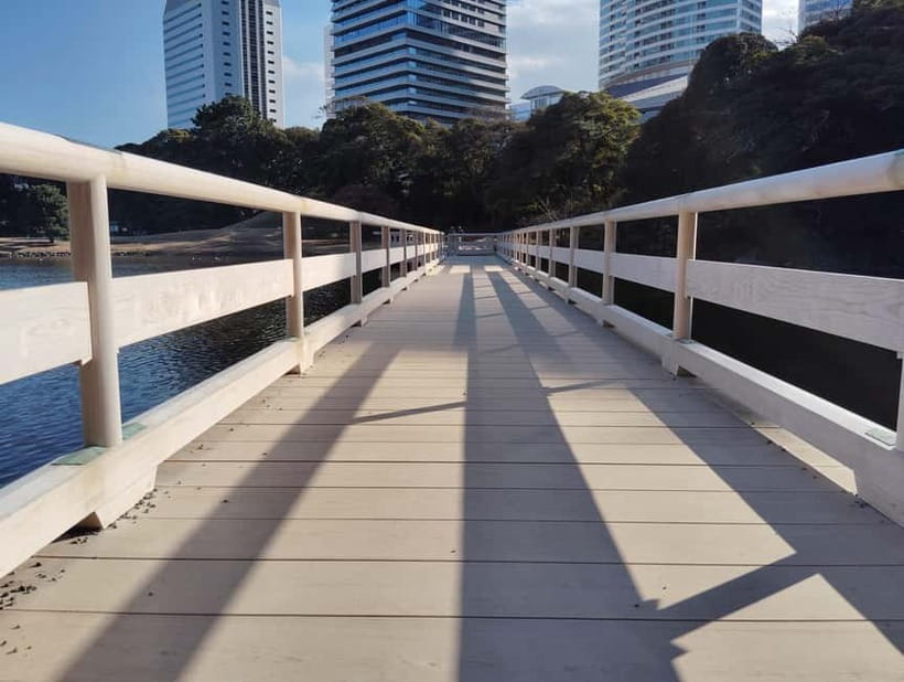 Tokyo: Hama-rikyu Garden Guided Tour with Entry Ticket - Quiet paths beneath Tokyo’s towers