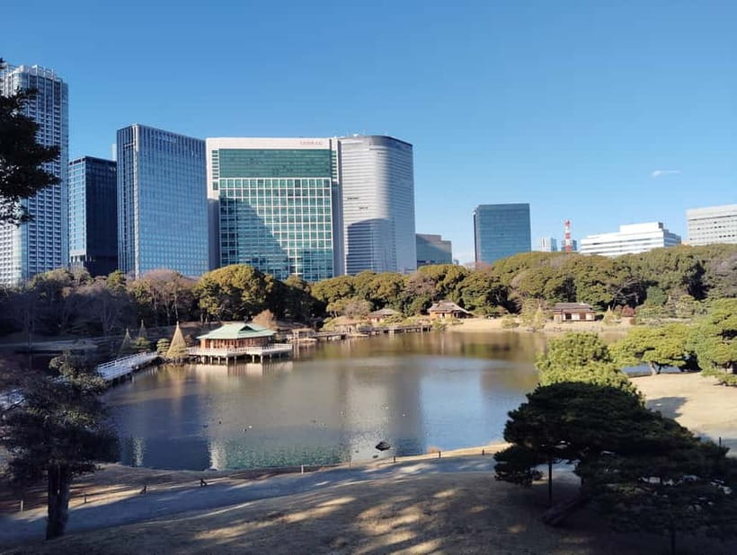 Tokyo: Hama-rikyu Garden Guided Tour with Entry Ticket - Who should book this garden walk?