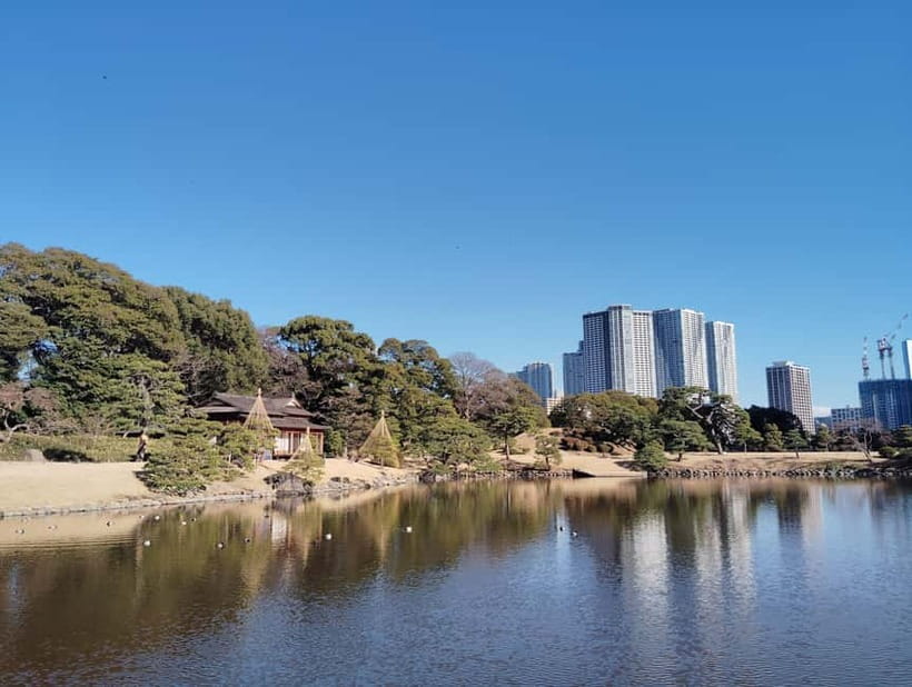 Tokyo: Hama-rikyu Garden Guided Tour with Entry Ticket - My verdict on the Hama-rikyu tour