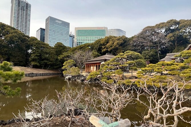 Tokyo: Hama-rikyu Gardens tour with Japanese Tea & Sweets - Key points to know