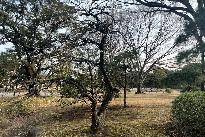 Tokyo: Hama-rikyu Gardens tour with Japanese Tea & Sweets - The 30-minute walk through Edo-era design