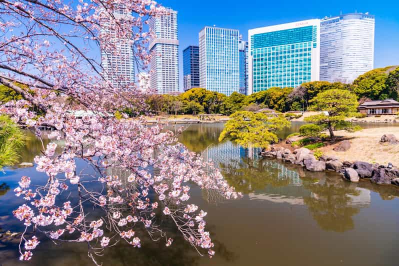 Tokyo: Hama-rikyu Gardens tour with Japanese Tea & Sweets - Who will enjoy this tour most?