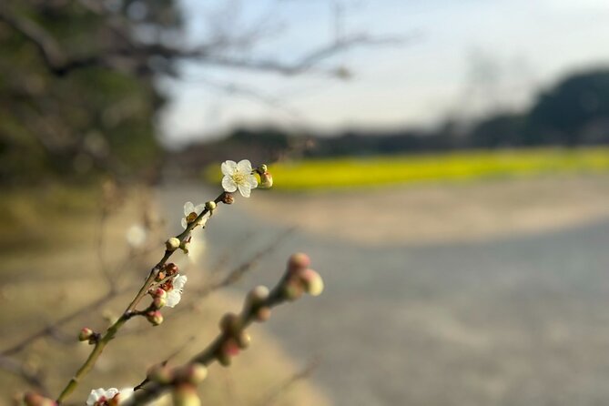 Tokyo: Hama-rikyu Gardens tour with Japanese Tea & Sweets - Starting at Otemon Bridge