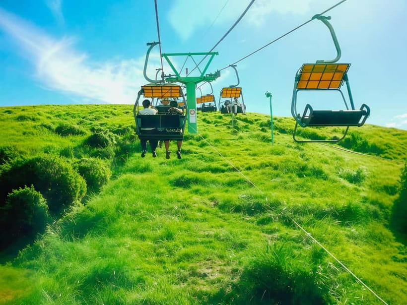 Tokyo: Izu Scenic Train, Volcano, Ocean&Capybara Cuddle Trip - Key points to know before you book