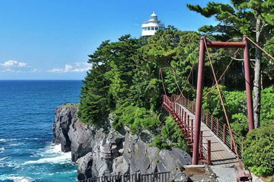 Tokyo: Izu Scenic Train, Volcano, Ocean&Capybara Cuddle Trip - The long return to Tokyo