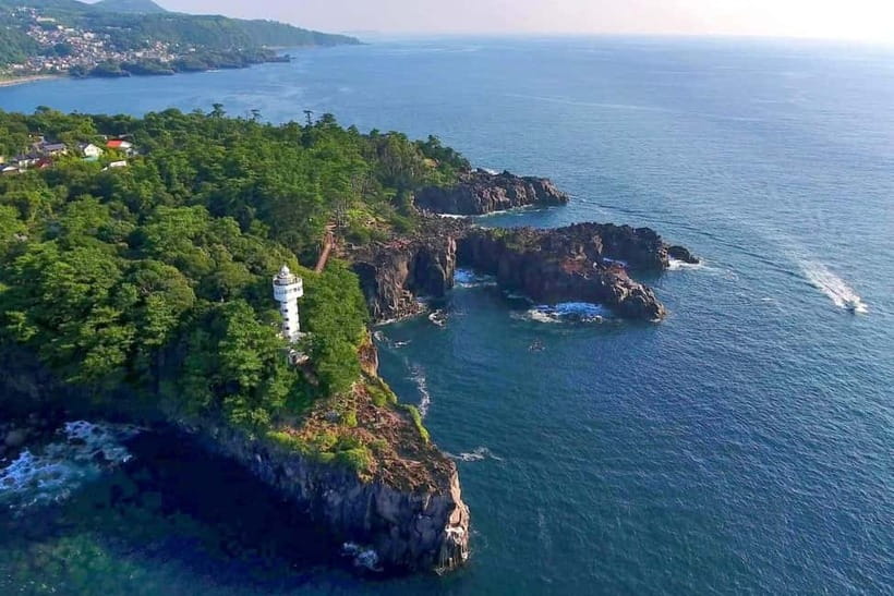 Tokyo: Izu Scenic Train, Volcano, Ocean&Capybara Cuddle Trip - Jogasaki Coast and the Kadowaki Suspension Bridge