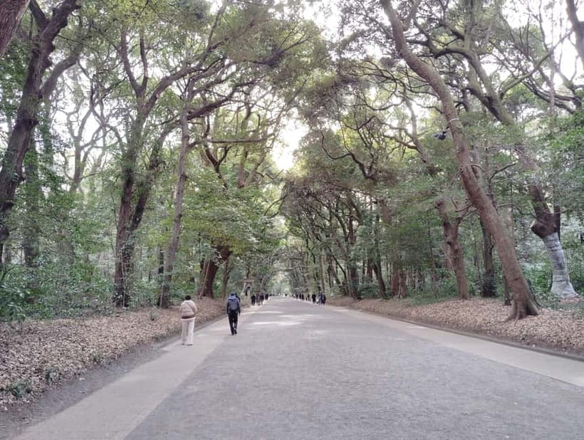 Tokyo: Meiji Jingu Shrine & Inner Garden Guided Tour (2h) - Walking beneath the grand torii