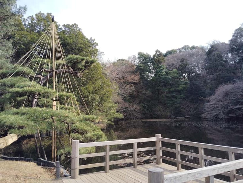 Tokyo: Meiji Jingu Shrine & Inner Garden Guided Tour (2h) - Omikuji and the fortune-telling stop