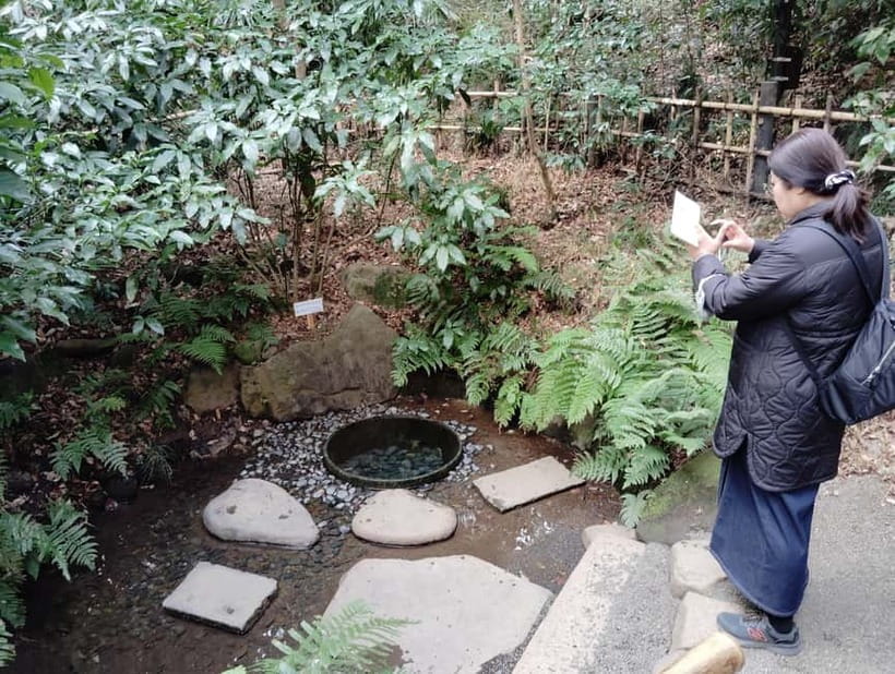 Tokyo: Meiji Jingu Shrine & Inner Garden Guided Tour (2h) - Kiyomasa’s Well, if time allows