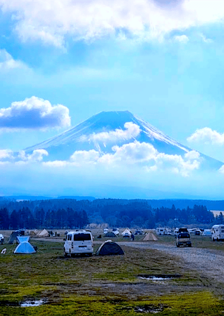 Tokyo: Mount Fuji Tour and Hakone Sakura Cherry Blossom Trip - Key points to know before booking