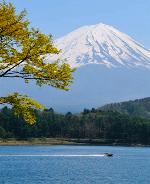 Tokyo: Mount Fuji Tour and Hakone Sakura Cherry Blossom Trip - Who will get the most from this tour