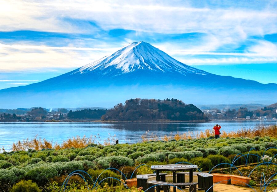 Tokyo: Mount Fuji Tour and Hakone Sakura Cherry Blossom Trip - Why this Mount Fuji day trip works