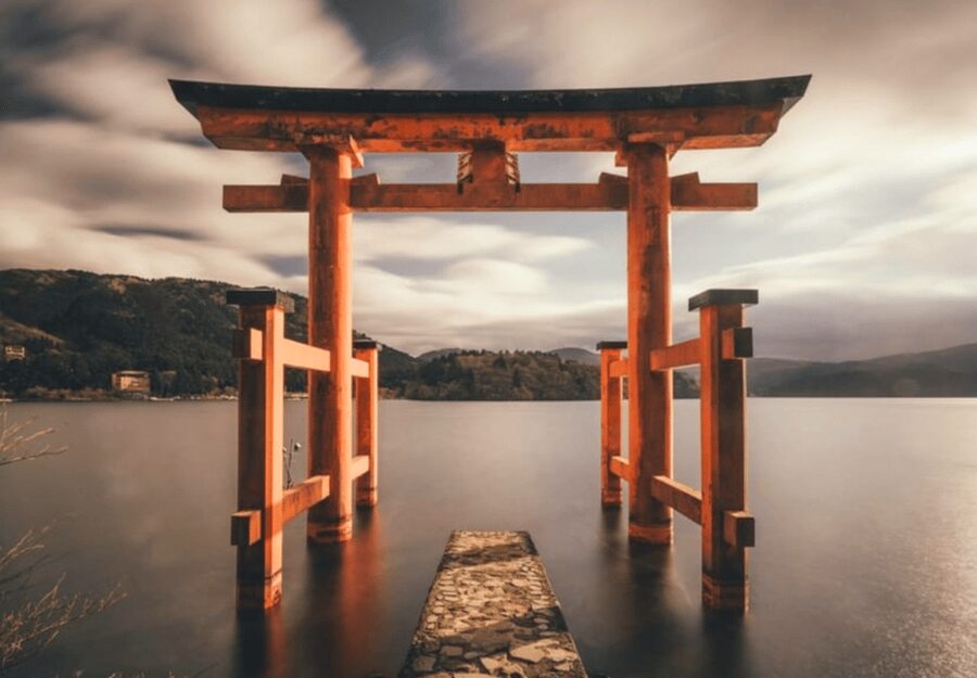 Tokyo: Mount Fuji Tour and Hakone Sakura Cherry Blossom Trip - The pace, vehicle, and pickup details