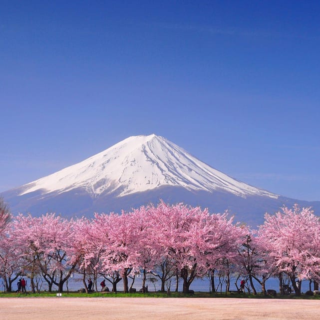 Tokyo: Mt. Fuji & Hakone Cherry Blossoms Private Day Tour - A Fuji day built around changing views