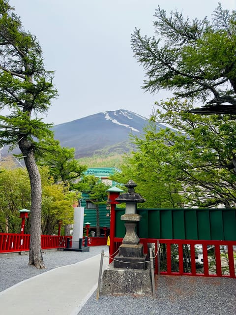 Tokyo: Mt. Fuji & Hakone Cherry Blossoms Private Day Tour - What the $490 group price really buys