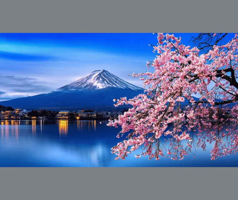 Tokyo: Mt. Fuji & Hakone Cherry Blossoms Private Day Tour - Cedar trees, spring water, and village shops