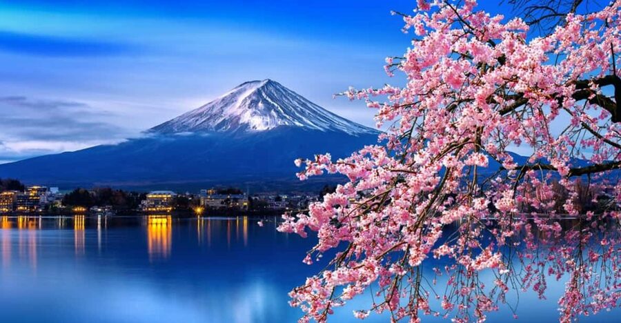 Tokyo: Mt. Fuji & Hakone Cherry Blossoms Private Day Tour - Chureito Pagoda and the classic spring photograph