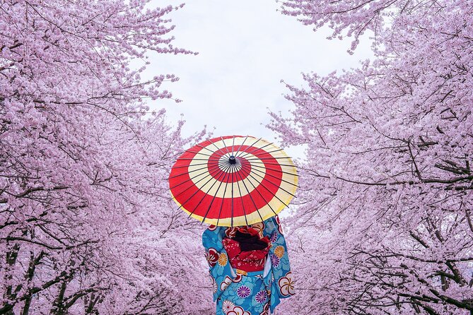 Tokyo Private Cherry Blossom Tour with a Local – Picnic Included - What the private guide adds