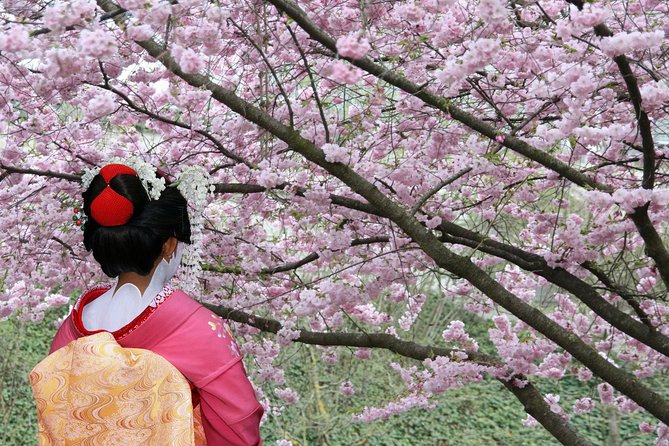 Tokyo Private Cherry Blossom Tour with a Local – Picnic Included - Transport, meeting point, and pace