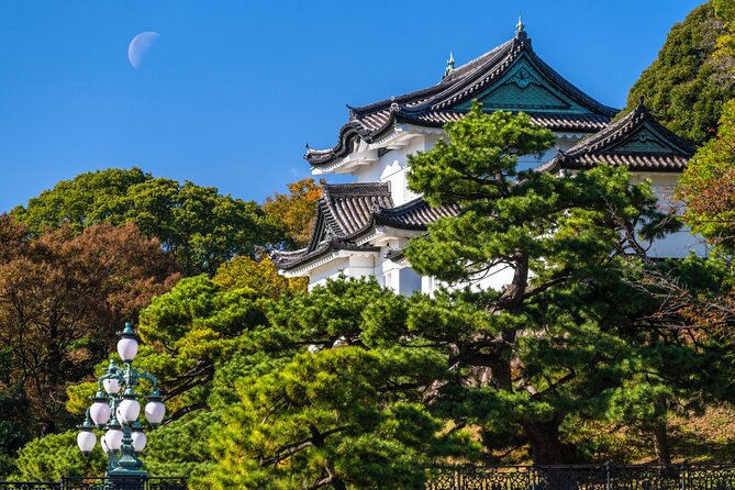 Tokyo Private Tour! Edo Castle & Imperial Palace East Gardens - Key points to know before booking