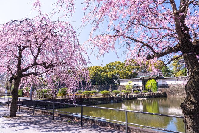 Tokyo Private Tour! Edo Castle & Imperial Palace East Gardens - What this Imperial Palace tour actually includes