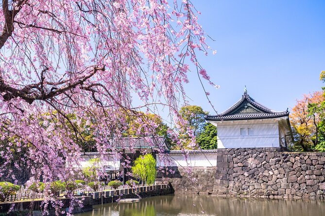 Tokyo Private Tour! Edo Castle & Imperial Palace East Gardens - How much history and culture will you hear?