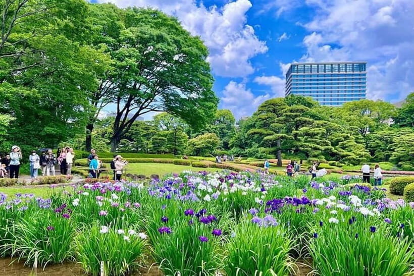 Tokyo: Pvt. Tour - Edo Castle & Imperial Palace East Gardens - A two-hour walk with room for questions