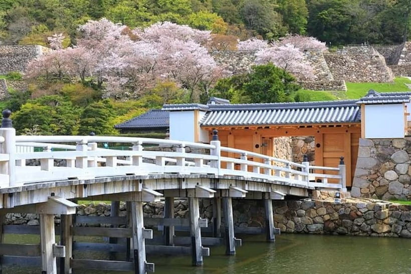 Tokyo: Pvt. Tour - Edo Castle & Imperial Palace East Gardens - What the private price buys you