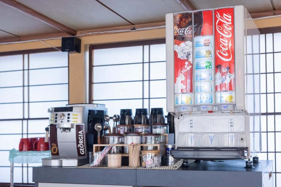 Tokyo: Rainbow Bridge Day Cruise Show and Only Soft Drinks - Unlimited soft drinks, but no lunch