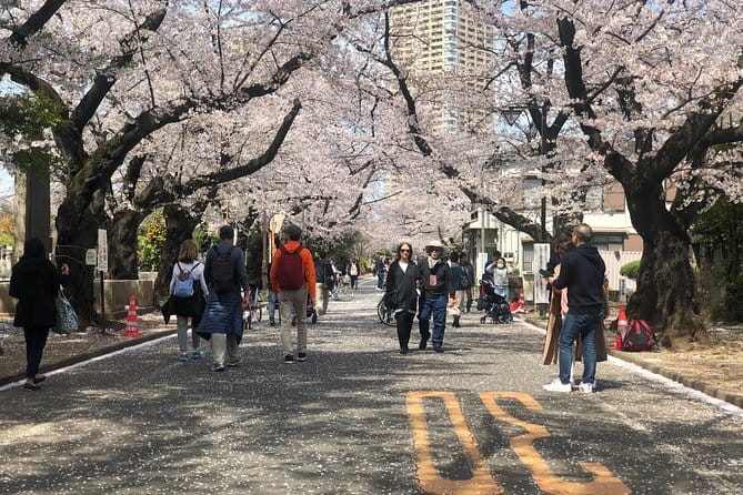 Tokyo Spring Daytime (Cherry Blossom) Food Tour - Beginning at Coffee Room Renoir Nippori Yanaka