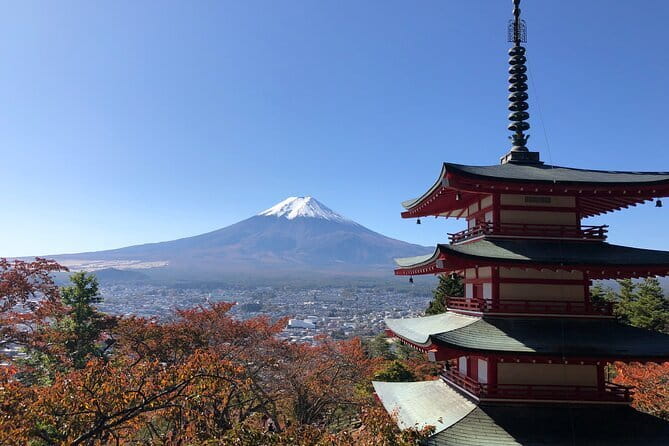 Tokyo Spring Daytime (Cherry Blossom) Food Tour - Yanaka Ginza: snacks, sake, and local shopping