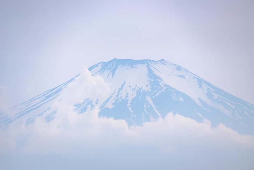 Tokyo Summer: Mt Fuji 5th Station& Kawaguchiko Lavender Trip - Who should book this Fuji day trip