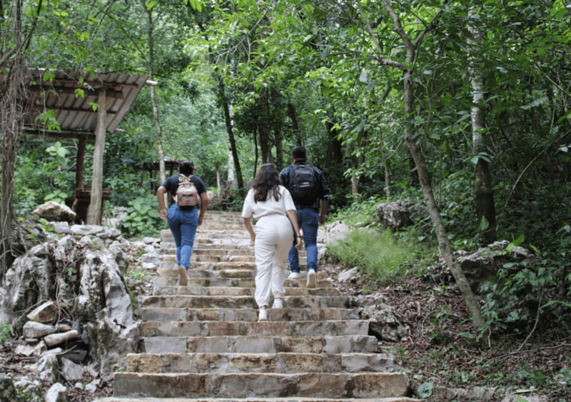 Tour: Edward James Sculpture Garden and Sótano de Huahuas - The strongest parts of the experience
