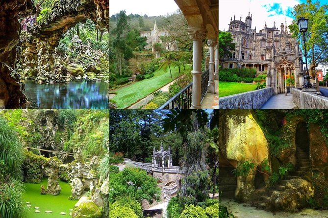Tour fantastic time with us and meet all the coners of this garden near the sea - A full day in a comfortable nine-seat van