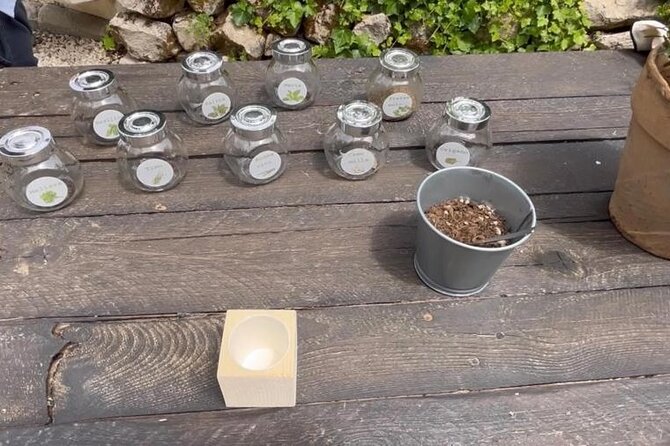 Tour in the heady scents of our garden in Ragusa - A Fragrant Garden Above Ragusa