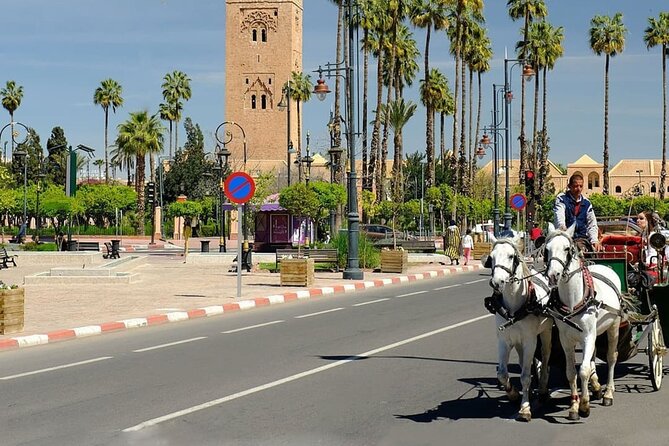 tour of marrakech-medina, souks, secret gardens,Madrassa& stories - Timing, meeting, and pace