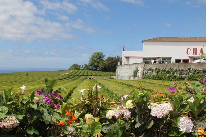 Tour to Furnas and Terra Nostra Garden - full day - Eating cozido das Furnas, the day’s most local meal