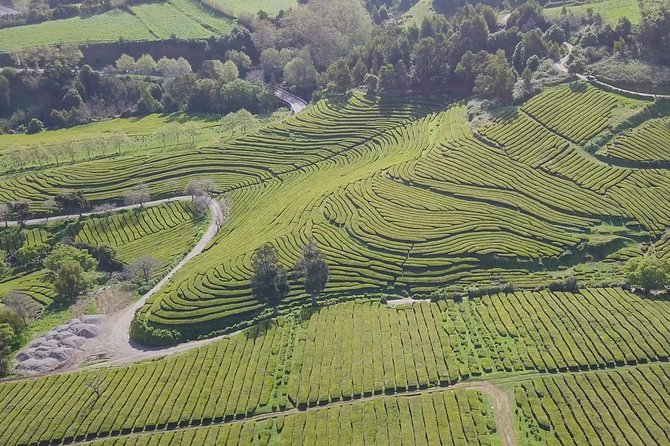 Tour to Furnas and Terra Nostra Garden - full day - A quick look at Vila Franca do Campo