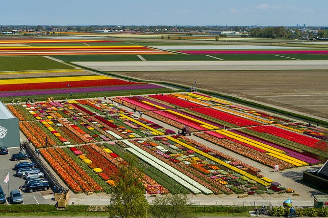 Tour to Giethoorn and Keukenhof Tulip Fields from Amsterdam - What the $567.14 Price Buys You