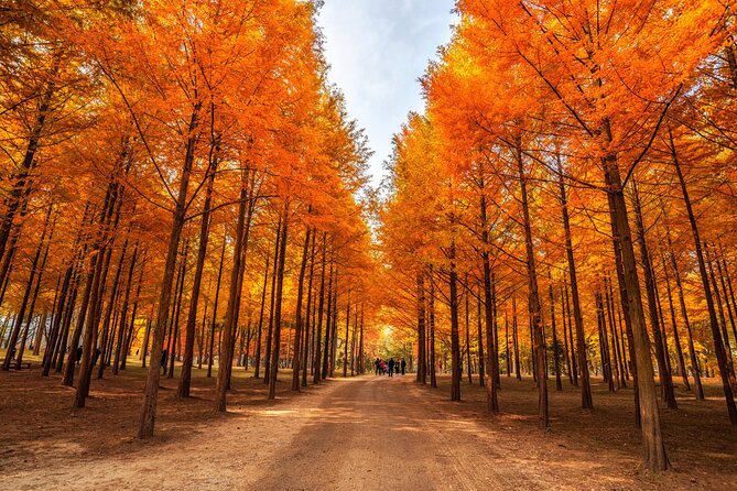 Trip to Nami Island with Petite France & Italian Village, Garden of Morning Calm - Petite France: bright colors and a theatrical setting