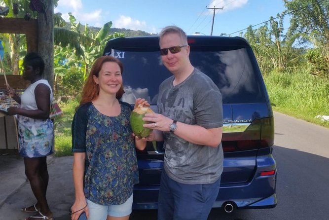 Trip to Soufiere: Volcano, Twin Pitons, Waterfall, Mud Bath & Botanical Garden - The Twin Pitons up close
