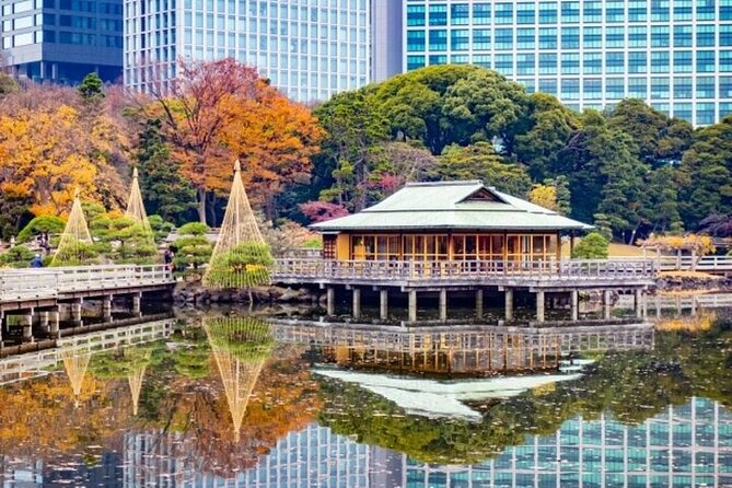 Tsukiji Food Strolling and Hama Rikyu Garden Walking Tour - Timing, group size, and practical value