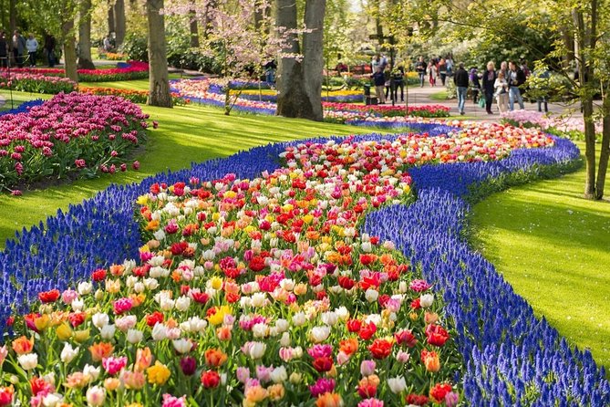 Tulip Experience and Keukenhof Flower Gardens Tour from Amsterdam - Keukenhof: 2.5 hours among millions of bulbs