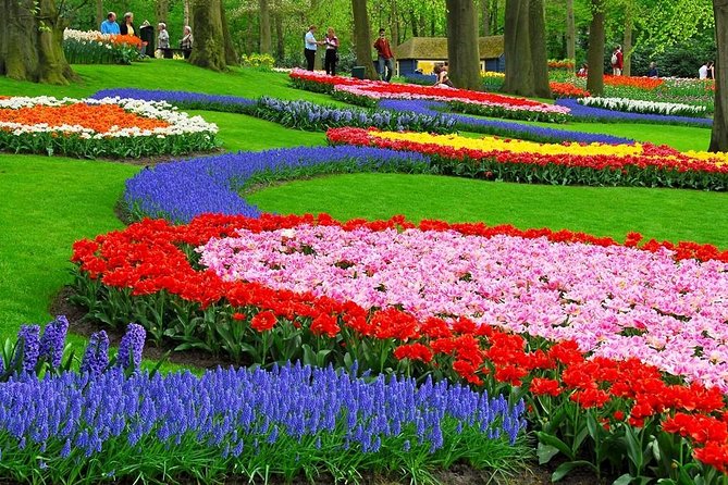Tulip Experience and Keukenhof Flower Gardens Tour from Amsterdam - Who will enjoy this tour most