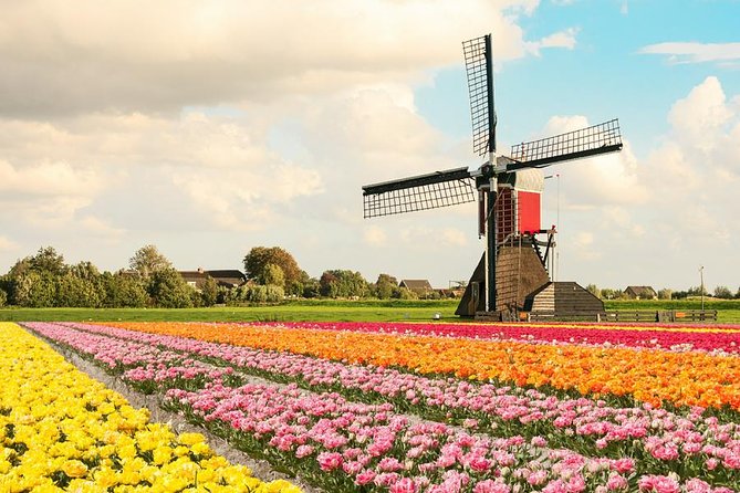 Tulip Experience and Keukenhof Flower Gardens Tour from Amsterdam - Tulip Experience Amsterdam: useful context before Keukenhof