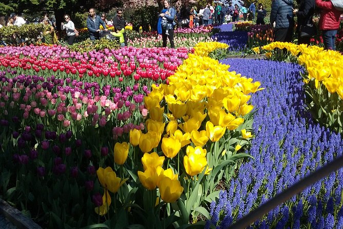 Tulip Festival and Skagit Valley Tour - Why Skagit Valley makes a good spring day trip