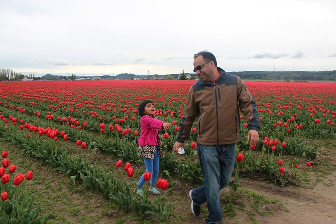 Tulip Festival at Skagit Valley ,La Conner and Deception Pass - Why this makes a strong spring day trip