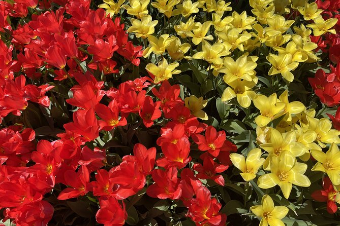 Tulip Festival in Skagit Valley Tour from Seattle - The guide can shape the whole day