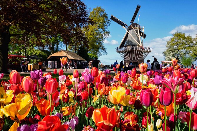 Tulip Paradise: Keukenhof Half-Day Private Tour - Why this tour is more than a garden visit