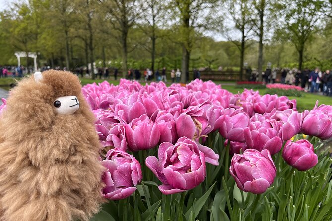 Tulip Paradise: Keukenhof Half-Day Private Tour - Timing, food, and practical comfort